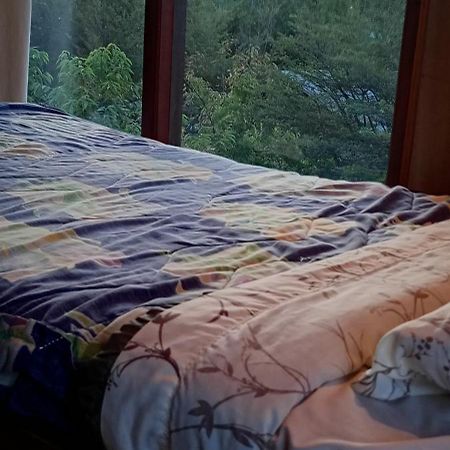 Hostal Quillelhue Pucón Zewnętrze zdjęcie